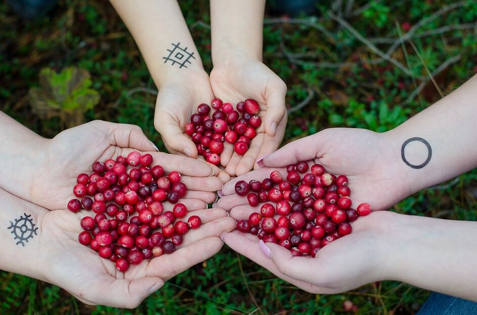 Cranberry for Compency