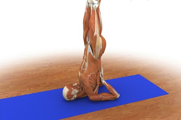 Զորավարժություն ուժի համար «Birch»